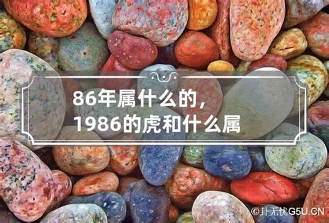 山林之虎|86年属什么生肖 86年属什么的生肖